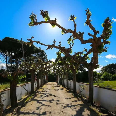 Вилла Colonial Planet Costa Dorada Виласека-де-Сольсина